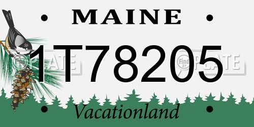 1T78205 Maine License Plate