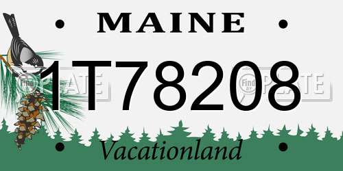 1T78208 Maine License Plate