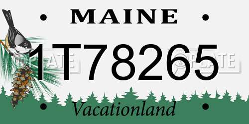1T78265 Maine License Plate