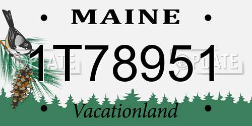 1T78951 Maine License Plate