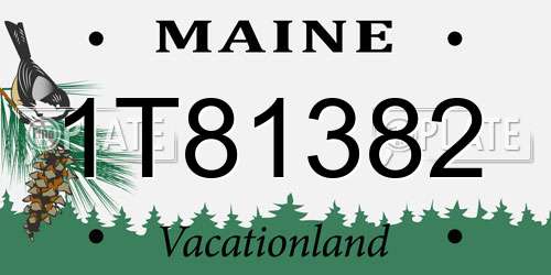 1T81382 Maine License Plate