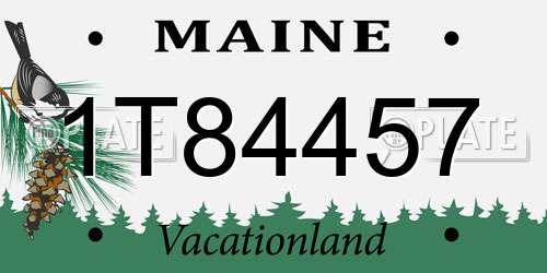1T84457 Maine License Plate