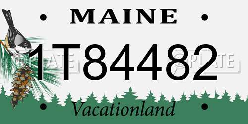 1T84482 Maine License Plate