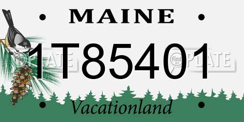 1T85401 Maine License Plate