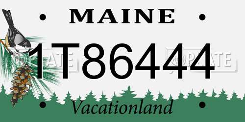 1T86444 Maine License Plate