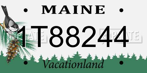 1T88244 Maine License Plate