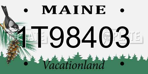 1T98403 Maine License Plate