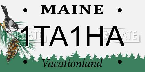 1TA1HA Maine License Plate