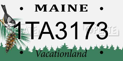 1TA3173 Maine License Plate
