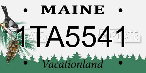 1TA5541 Maine License Plate