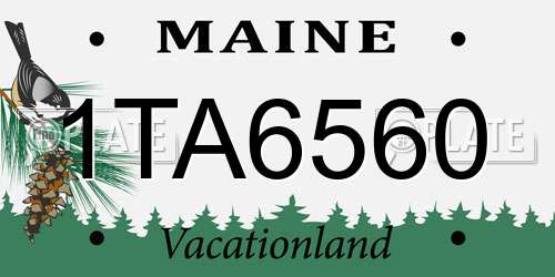 1TA6560 Maine License Plate