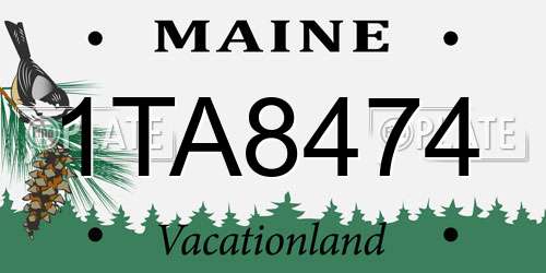 1TA8474 Maine License Plate