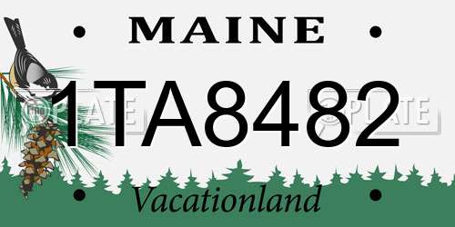 1TA8482 Maine License Plate