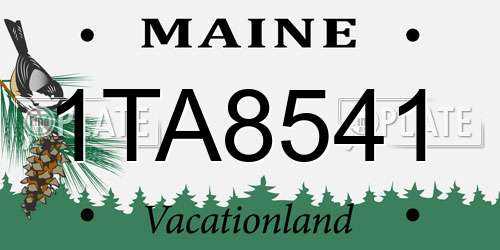 1TA8541 Maine License Plate
