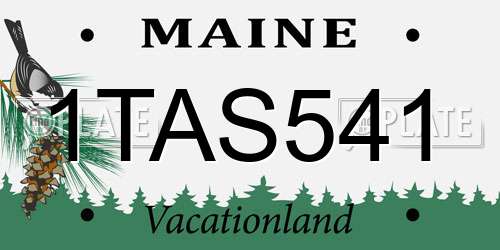 1TAS541 Maine License Plate