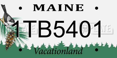 1TB5401 Maine License Plate