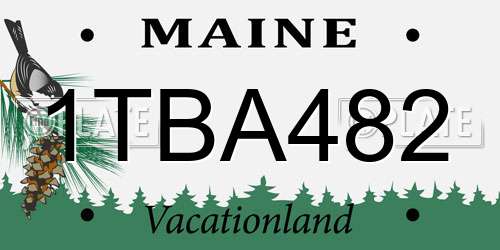 1TBA482 Maine License Plate