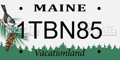 1TBN85 Maine License Plate