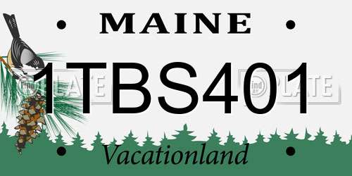 1TBS401 Maine License Plate