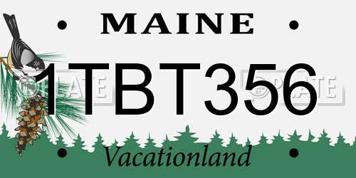 1TBT356 Maine License Plate