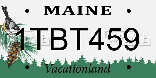 1TBT459 Maine License Plate