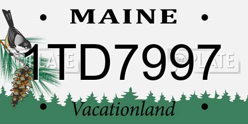 1TD7997 Maine License Plate