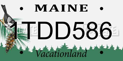 1TDD586 Maine License Plate