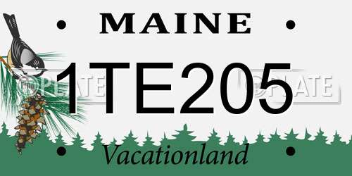 1TE205 Maine License Plate