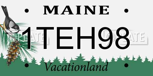 1TEH98 Maine License Plate