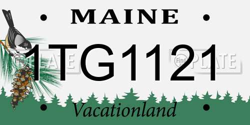 1TG1121 Maine License Plate