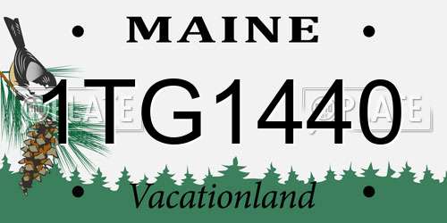 1TG1440 Maine License Plate