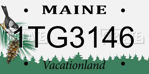 1TG3146 Maine License Plate