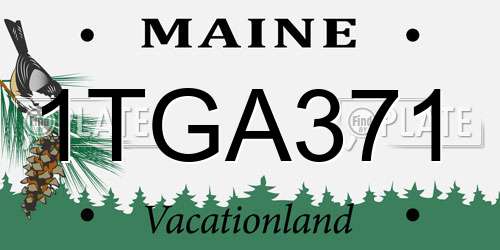 1TGA371 Maine License Plate