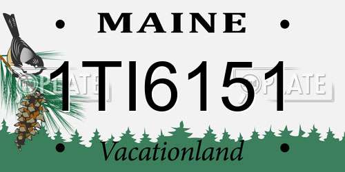 1TI6151 Maine License Plate