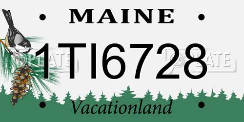 1TI6728 Maine License Plate