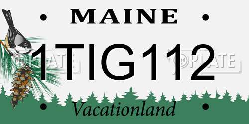 1TIG112 Maine License Plate