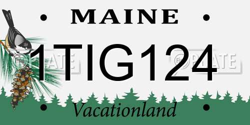 1TIG124 Maine License Plate