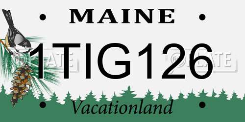 1TIG126 Maine License Plate