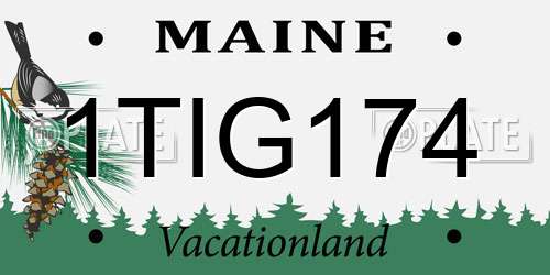 1TIG174 Maine License Plate
