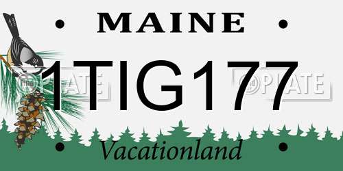1TIG177 Maine License Plate