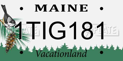 1TIG181 Maine License Plate