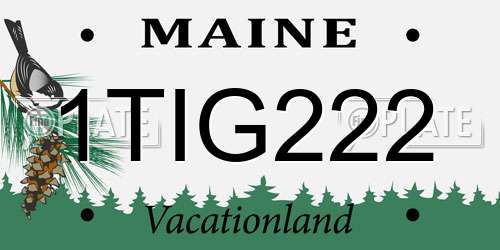 1TIG222 Maine License Plate