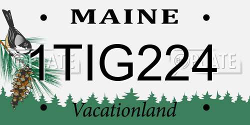 1TIG224 Maine License Plate
