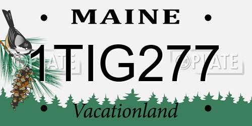 1TIG277 Maine License Plate
