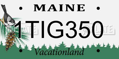 1TIG350 Maine License Plate