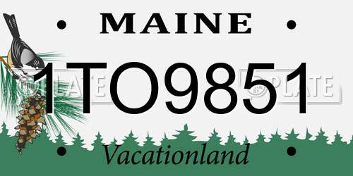 1TO9851 Maine License Plate