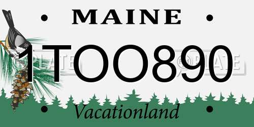 1TOO890 Maine License Plate