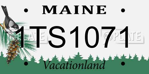 1TS1071 Maine License Plate