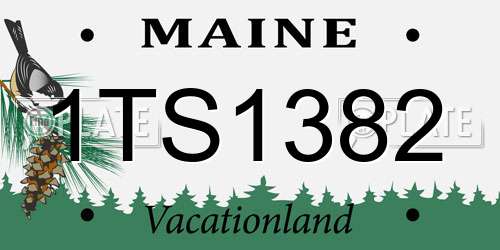 1TS1382 Maine License Plate