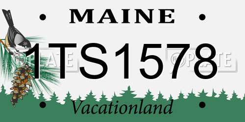 1TS1578 Maine License Plate